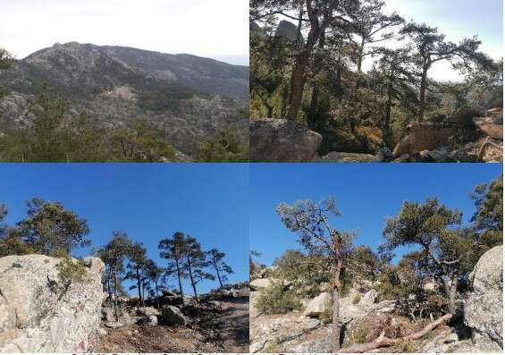 18 Türbinden oluşan Falp Rüzgâr Enerji Santrali İçin ÇED Süreci Resmen Başladı 8